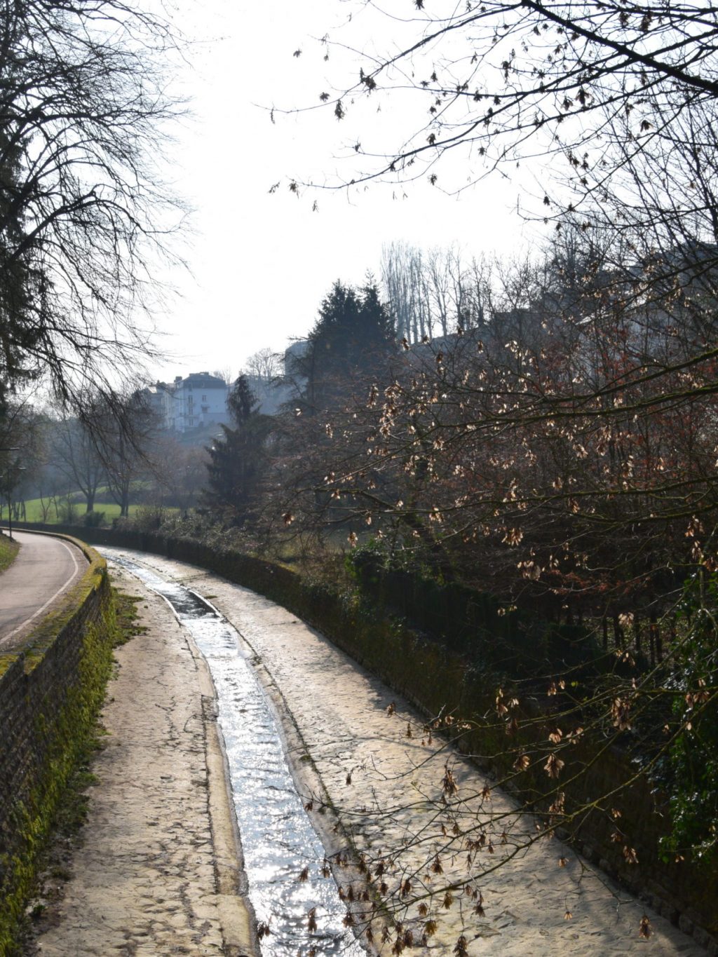 DSC_0008